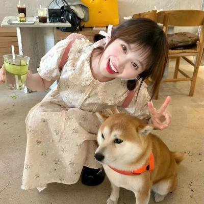 林家铺子